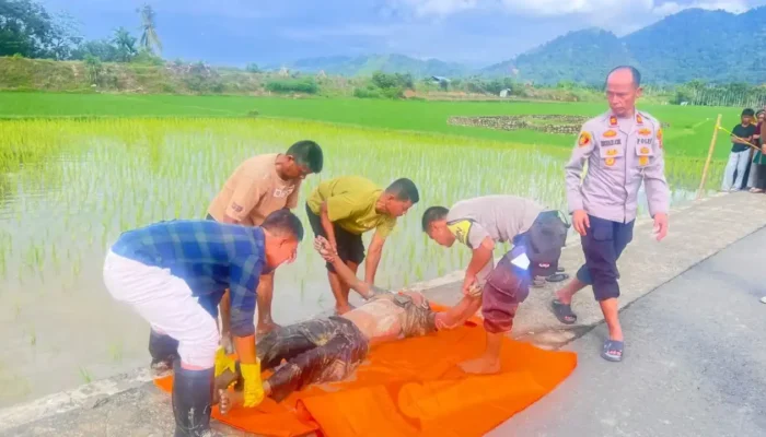 Mayat Gegerkan Pesisir Selatan, Polisi Lakukan Penyelidikan Mendalam