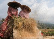 Konflik Timur Tengah Pacu Harga Pangan Dunia Naik