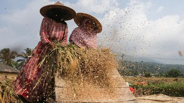 fao-ungkap-harga-pangan-global-naik-2,4-persen-imbas-konflik-timteng