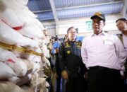 Lawan Impor Beras Menir 500 Ribu Ton, Amran Mau Giling Beras Sendiri