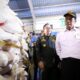 lawan-impor-beras-menir-500-ribu-ton,-amran-mau-giling-beras-sendiri