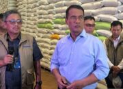 Stok Beras Nasional Melimpah, Pemerintah Terus Tingkatkan Penyerapan