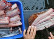 17 Ide Usaha di Kampung untuk Pemula, Modal Kecil Untung Menjanjikan dan Mudah Dijalankan