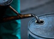 Negara Berkembang Pangkas Beban Impor Melalui Transisi Energi Terbarukan