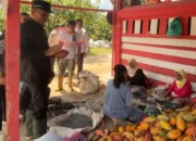 Limapuluh Kota Tanam Dua Juta Kakao Bangkitkan Ekonomi Daerah