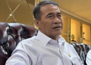 amran-genjot-produksi-sawit,-prioritaskan-penanaman-di-lahan-gundul