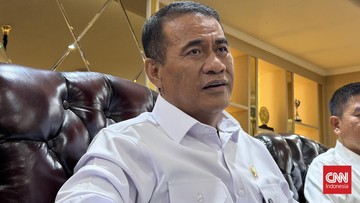 amran-genjot-produksi-sawit,-prioritaskan-penanaman-di-lahan-gundul