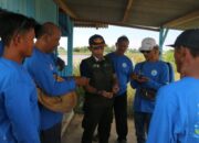 optimalisasi-budidaya-anggur-laut,-pelayaran-bahtera-adhiguna-gandeng-brin