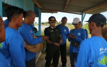 BAg dan BRIN Kembangkan Budidaya Anggur Laut Jepara