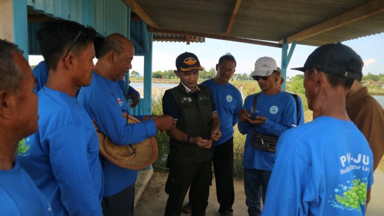 optimalisasi-budidaya-anggur-laut,-pelayaran-bahtera-adhiguna-gandeng-brin
