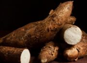 peran-ganda-ubi-kayu