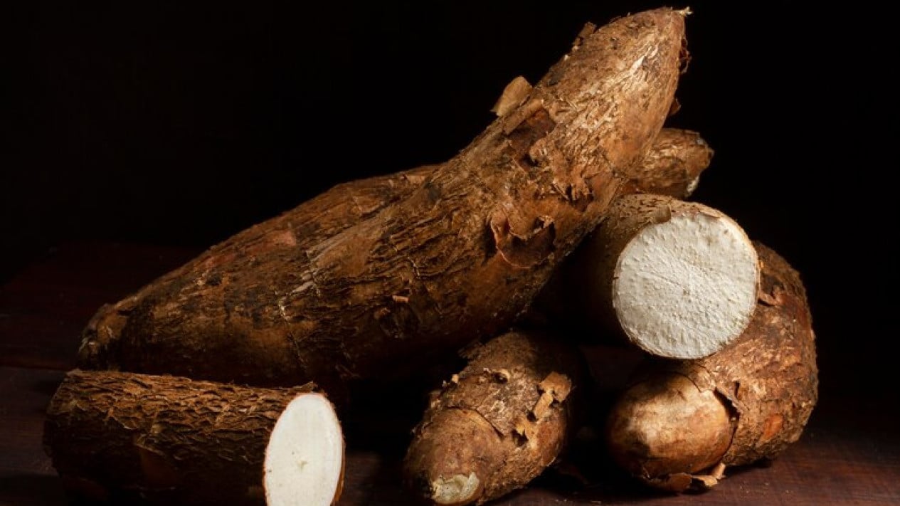 peran-ganda-ubi-kayu