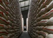 purbaya-setujui-anggaran-rp5-t-bangun-100-gudang-baru-bulog