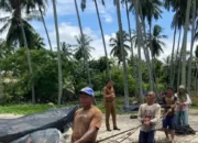 kadis-perikanan-dan-pangan-pessel-kunjungi-batang-kapas-pastikan-nelayan-tradisional-pemohon-bantuan