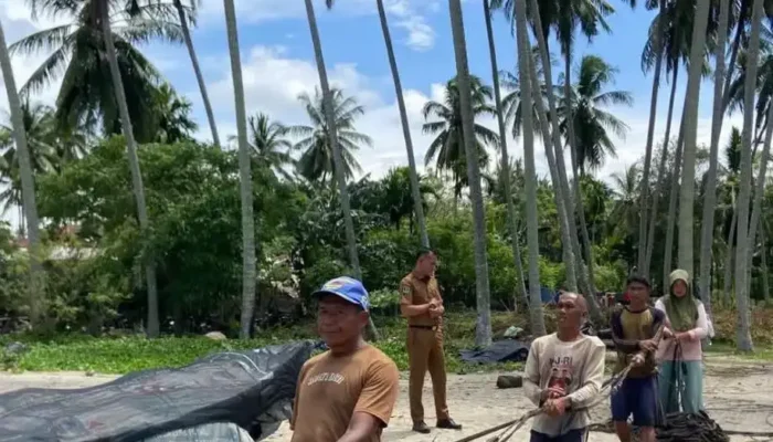 Kadis Perikanan Pessel Verifikasi Nelayan Pemohon Bantuan Longtail