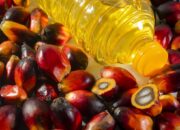 harga-kemasan-plastik-naik,-minyak-goreng-terancam-makin-mahal