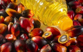 Harga Plastik Naik, Minyak Goreng Tertekan