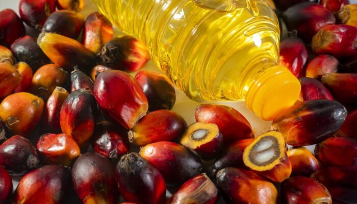 Harga Plastik Naik, Minyak Goreng Tertekan