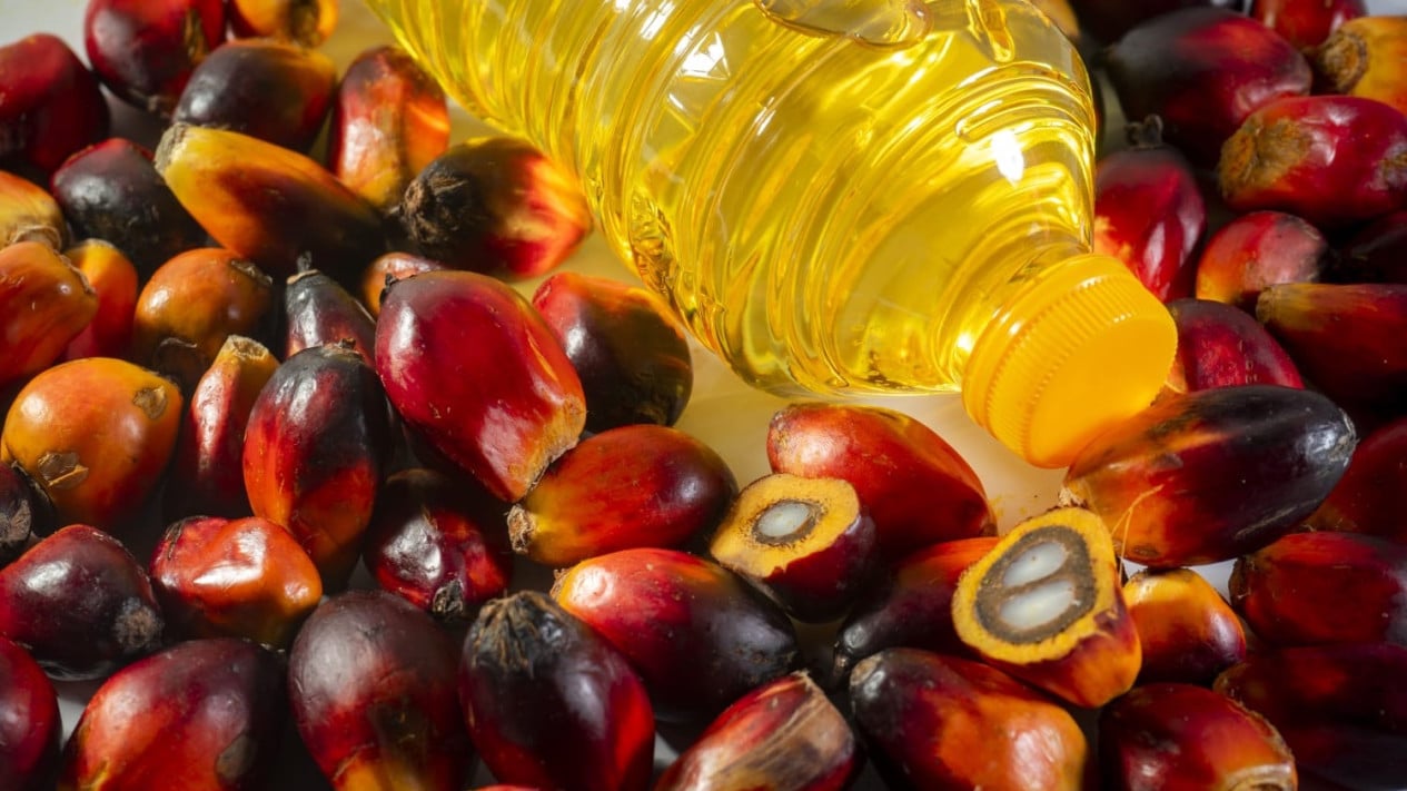 harga-kemasan-plastik-naik,-minyak-goreng-terancam-makin-mahal