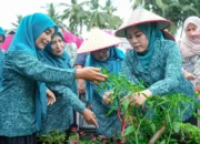 tp-pkk-sumbar-lakukan-penilaian-lapangan-lomba-dasawisma-berprestasi-tingkat-provinsi-di-pasaman-barat