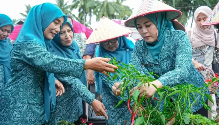 TP PKK Sumbar Nilai Dasawisma Pasaman Barat