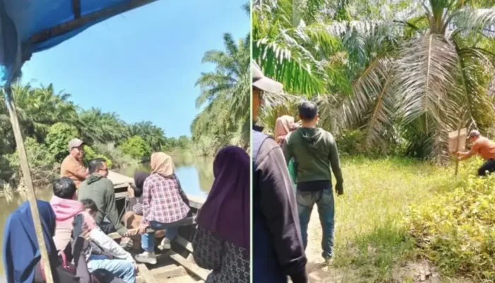 Keturunan Kimah Gugat Penguasaan Kebun Sawit 10 Hektare