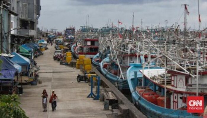 118 Ribu Pelamar Berebut Posisi SDM Kampung Nelayan