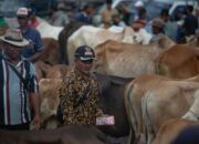 siasat-beli-hewan-kurban-di-tengah-lonjakan-harga-jelang-iduladha