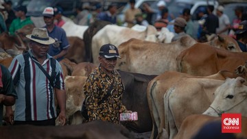 siasat-beli-hewan-kurban-di-tengah-lonjakan-harga-jelang-iduladha