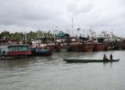 kkp-respons-heboh-nelayan-tolak-kapal-trawl-di-merauke