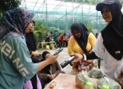 sahara-ubah-warung-tradisional-jadi-serba-digital