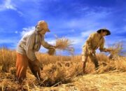 harga-solar-di-negara-asia-ini-tembus-rp51-ribu-per-liter,-krisis-pangan-mengintai