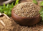 pasokan-terganggu,-ketumbar-dan-bumbu-dapur-ini-terancam-naik-harga