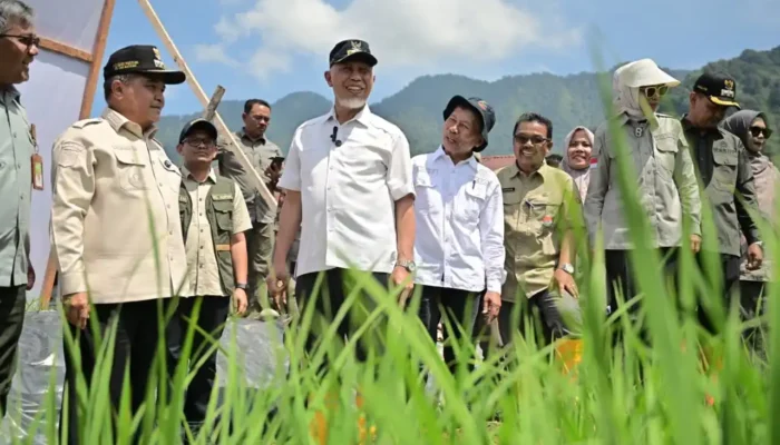 Kemendagri Puji Rehabilitasi Lahan Pertanian Sumbar
