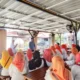 rahmat-saleh:-kwt-kunci-ketahanan-pangan-dari-rumah-tangga