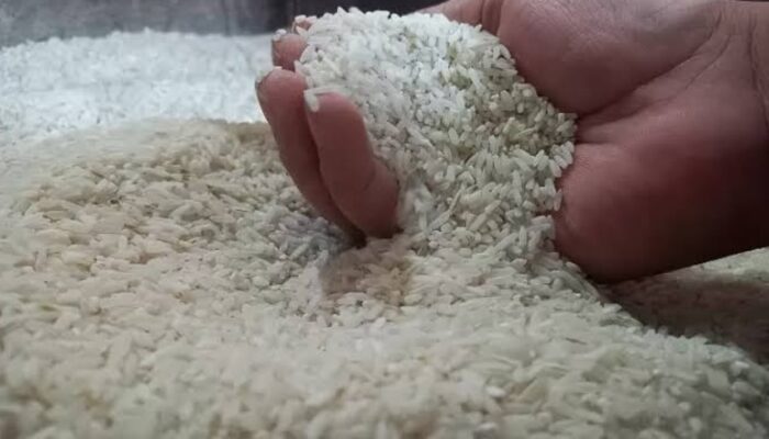Konflik Timur Tengah Ancam Pasokan Pupuk Global
