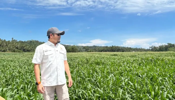 Rahmat Saleh Dorong Perluasan Jagung Sumbar 4.000 Hektar