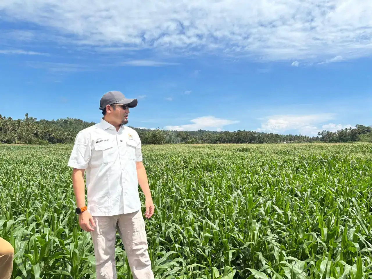 produksi-jagung-sumbar-digenjot,-rahmat-saleh-pasang-target-4.000-hektar-di-tahun-2026