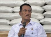 mentan-jawab-kritik-netizen-stok-beras-melimpah-tapi-harga-masih-mahal