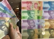 bkd-dharmasraya-genjot-pad-2026-hingga-rp176-miliar