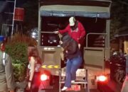 satpol-pp-padang-tertibkan-kafe-karaoke-langgar-jam-operasional