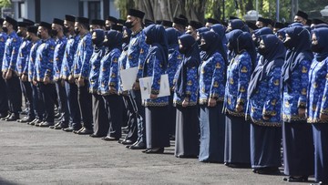 bulog-bakal-ajukan-proposal-demi-asn-dapat-tunjangan-beras-lagi