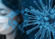 kemenkes-catat-23-kasus-hantavirus-di-indonesia