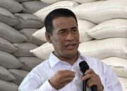 mentan-beber-kalkulasi-stok-beras-ri-hadapi-ancaman-el-nino-godzilla