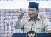 prabowo-instruksikan-suku-bunga-pnm-mekaar-turun-di-bawah-9-persen