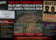 wanted”-pemimpin-sumbar,-walhi-soroti-kerusakan-hutan-dan-lemahnya-penegakan-hukum