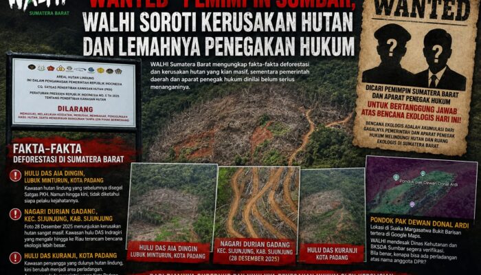 WALHI Soroti Kerusakan Hutan Sumbar dan Lemahnya Penegakan Hukum
