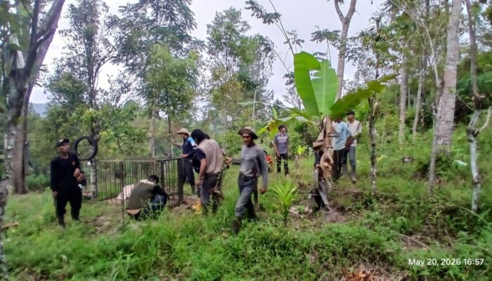 BKSDA Pasang Perangkap Antisipasi Kemunculan Harimau di Palupuah Agam