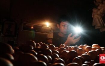 PLN Percepat Pemulihan Gangguan Listrik di Wilayah Pulau Sumatera