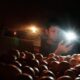 pln-buka-suara-soal-aceh-sampai-riau-mati-lampu-malam-ini